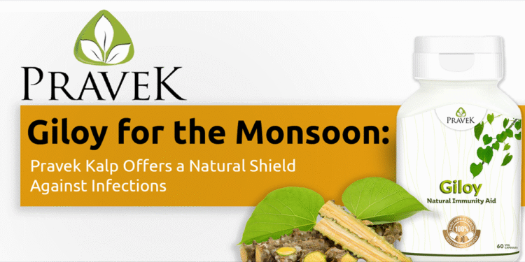 Giloy for the Monsoon: PravekKalp Offers a Natural Shield Against Infections