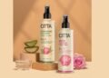 CITTA’s Cult-Favourite Mists Return In A Brand New Avatar