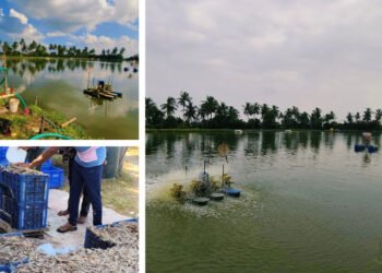 India’s Aquaculture Innovation Is Finally Home-Grown, And Built for the Future