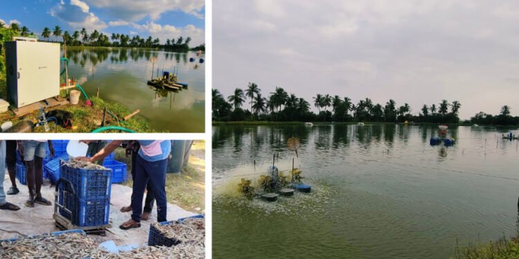 India’s Aquaculture Innovation Is Finally Home-Grown, And Built for the Future
