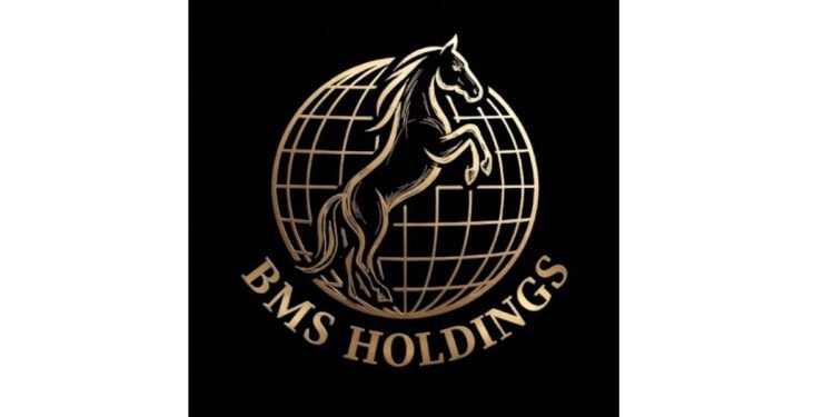 BMS Holding Udaipur, BMS Jewellers, BMS Tradelink, BMS Estates , BMS Investments & Lending ,